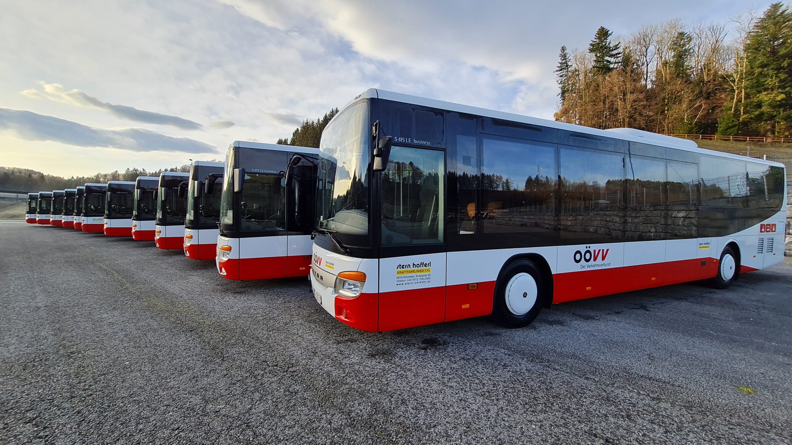 Stern Hafferl Busflotte