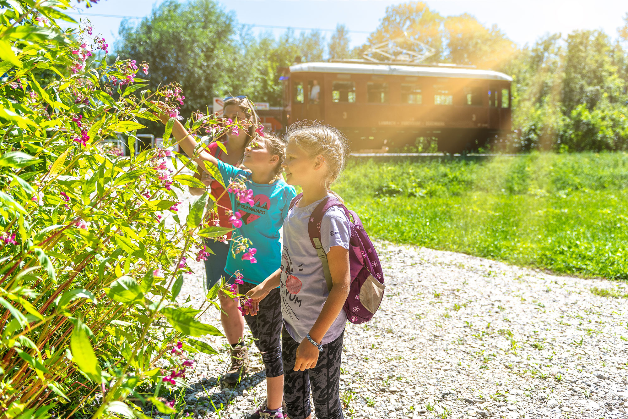 2 Mädchen mit ihrer Mutter beim Wandern entlang der Vorchdorferbahn, im Vordergrund ein blühender Busch, im Hintergrund ein altes Fahrzeug auf der Strecke