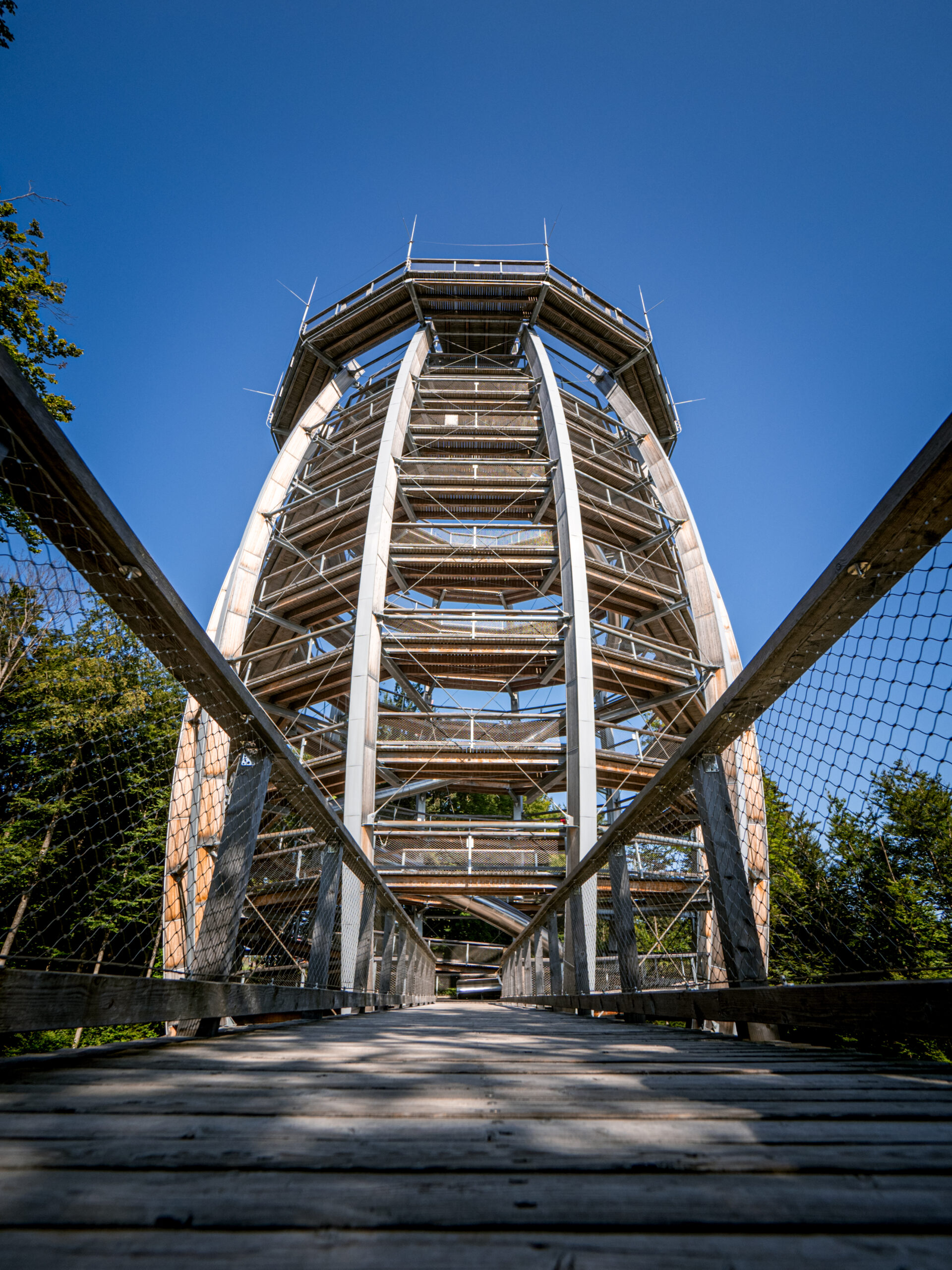 Eingang Baumwipfelpfad Grünberg