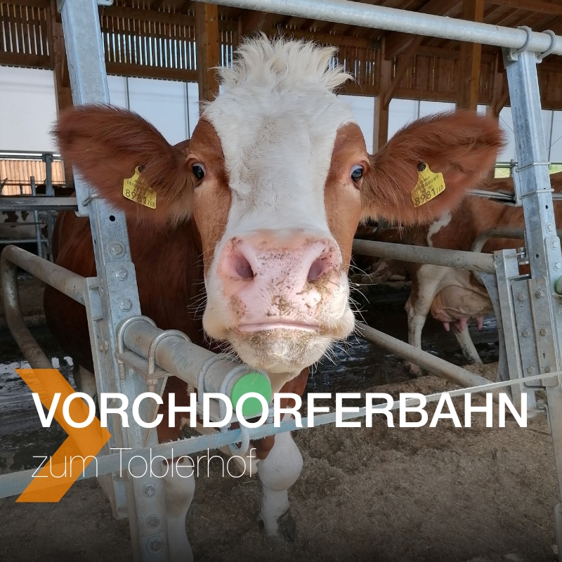 Sujet quadratisch zum Toblerhof